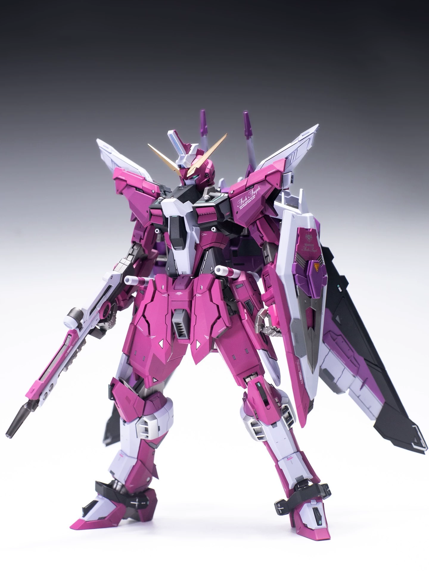 [Resin Kit] PRE-ORDER 1/100 Infinite Justice Gundam Enhanced Conversion Kit