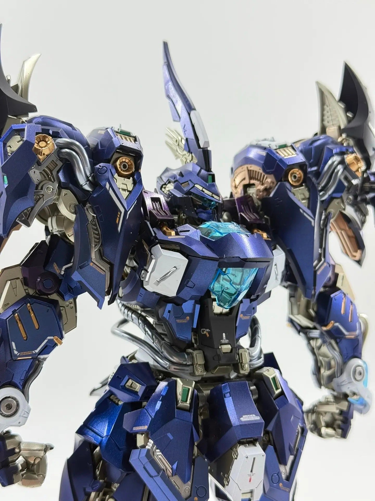 その他 Infinite Dimension Lizard Infinite Dimension Lizard normal version Model Kit