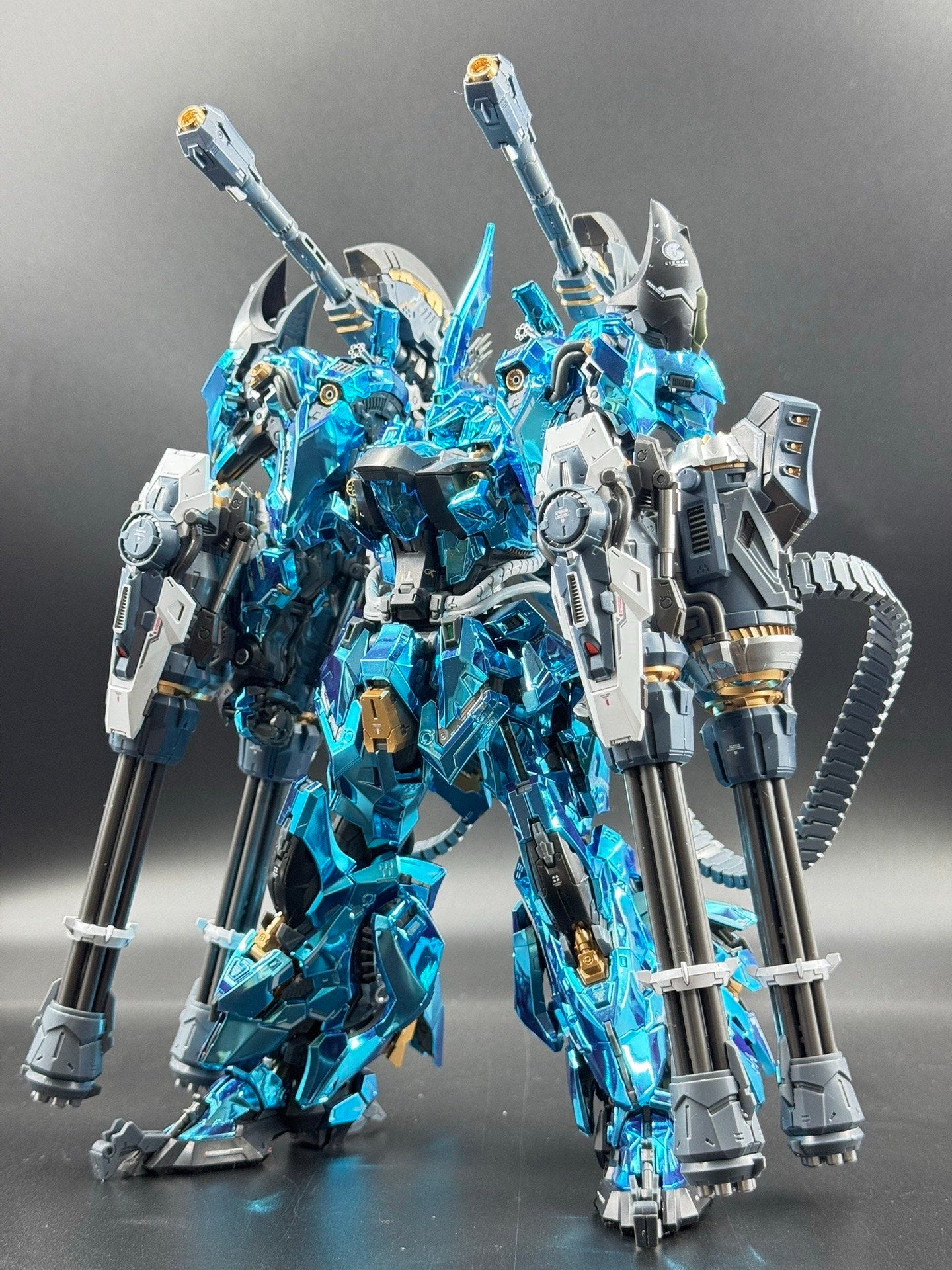 Color customization collection] Infinite Dimension Lizard normal