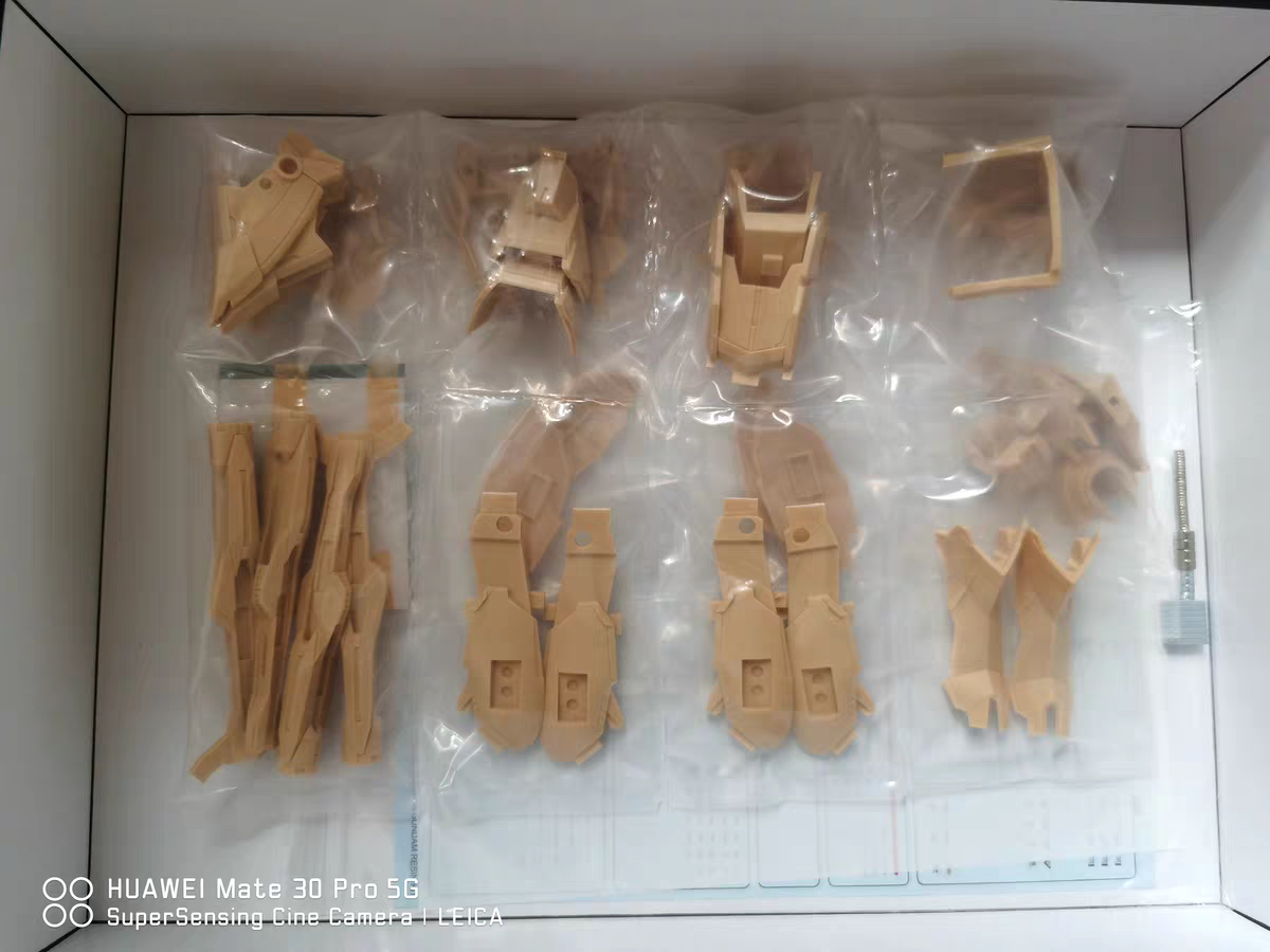 [Resin parts] Per-order for MG 1/100 Force Reborns Gundam RECAST Dress up Conversion Kit -airlift