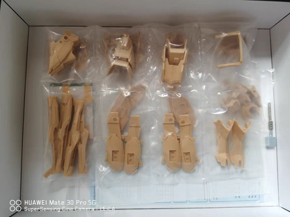 [Resin parts] Per-order for MG 1/100 Force Reborns Gundam RECAST Dress up Conversion Kit -airlift