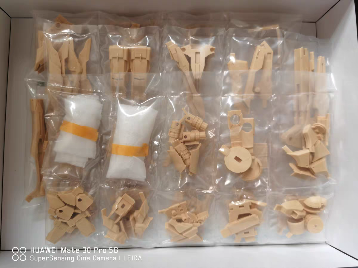 [Resin parts] Per-order for MG 1/100 Force Reborns Gundam RECAST Dress up Conversion Kit -airlift