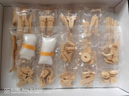 [Resin parts] Per-order for MG 1/100 Force Reborns Gundam RECAST Dress up Conversion Kit -airlift