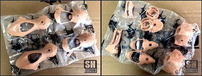 [Resin Kit] SH Studio PG 1/60 Kampfer Resin Conversion Kit