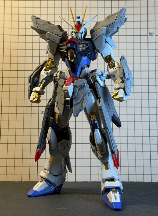 [3D printed pieces] PRE-ORDER 1/100 MIGHTY STRIKE FREEDOM GUNDAM Enhanced Conversion Kit