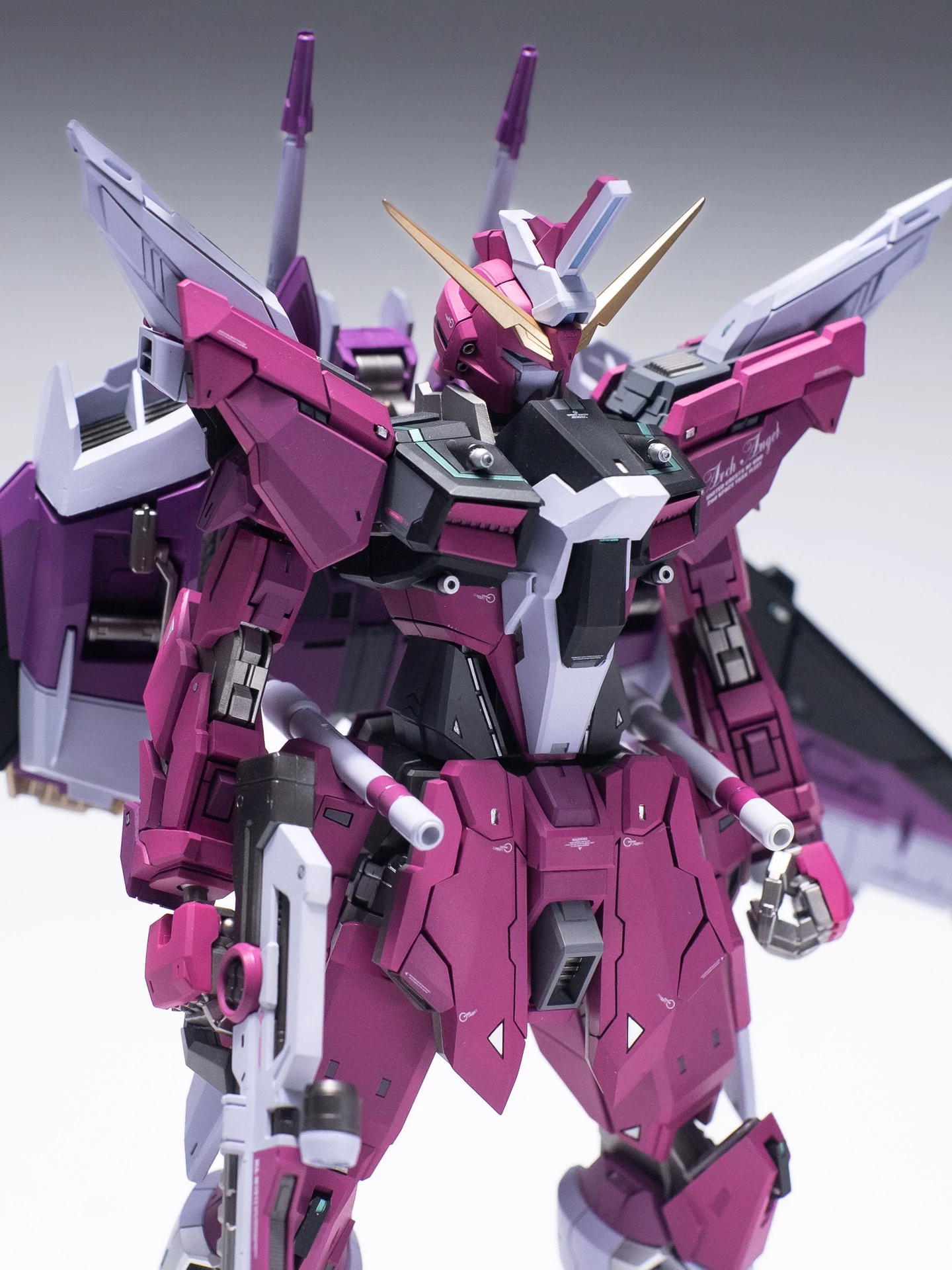 [Resin Kit] PRE-ORDER 1/100 Infinite Justice Gundam Enhanced Conversion Kit
