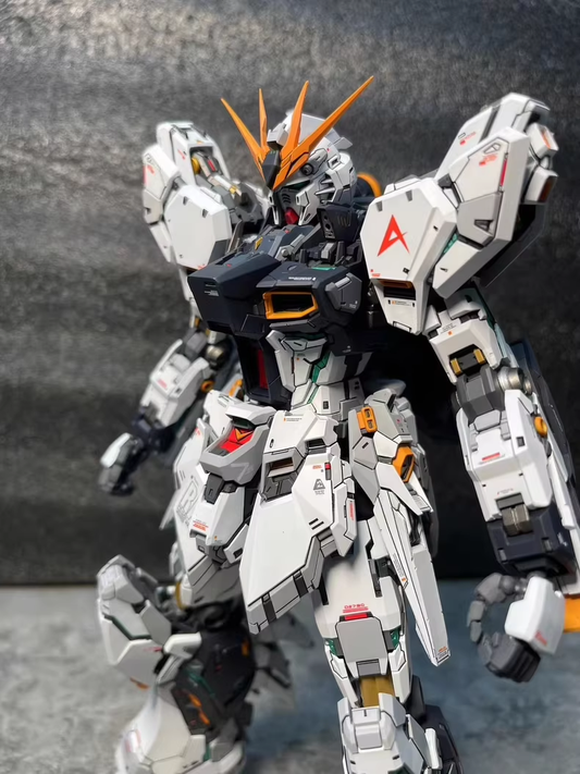 [Color customization] Contact me to customize the model color scheme