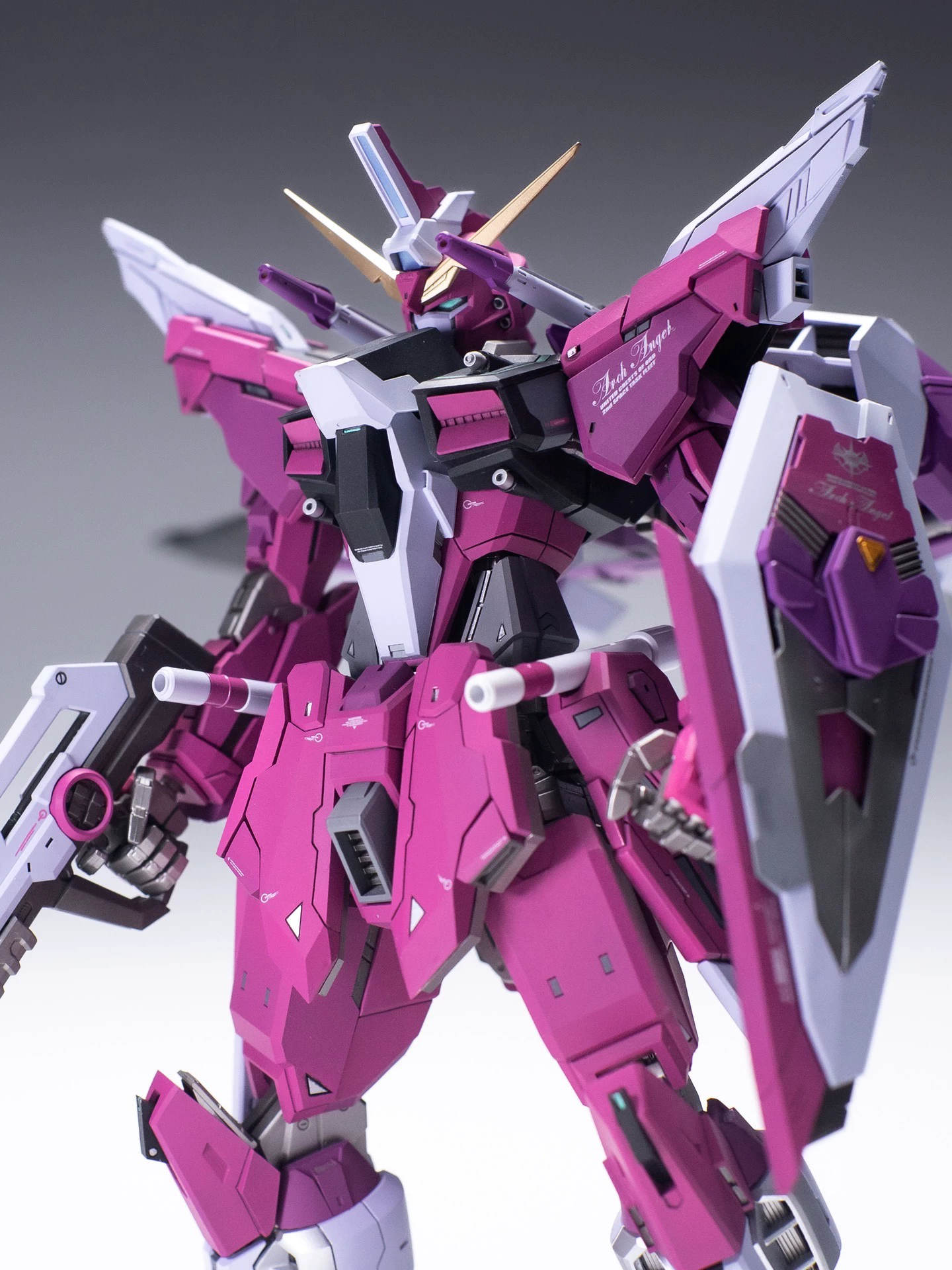 [Resin Kit] PRE-ORDER 1/100 Infinite Justice Gundam Enhanced Conversion Kit
